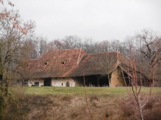 LE PONT-DE-BEAUVOISIN - ETANG DE LA COMBE ET LE MARAIS-isere