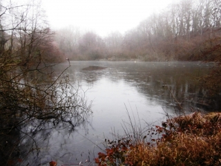 SAINTE-ANNE-SUR-GERVONDE - LA HAUTE GERVONDE - 3 ETANGS-isere