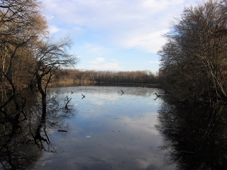 FITILIEU - ETANG DE MALSEROUD-isere