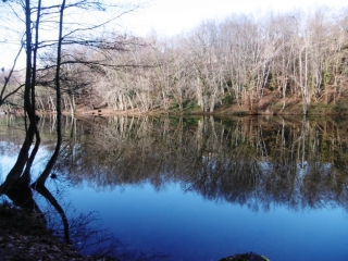 EYDOCHE - HAUT DE GOURAND - BOIS CHAVANON-isere