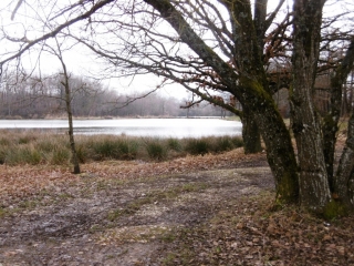 SAINT-JULIEN-DE-L HERMS - ENTRE VAREZE ET BONNEVAUX-isere