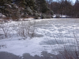 ROYBON - SUR LES TRACES DES VERRIERS PAR LE CHATEAU ROCHER-isere