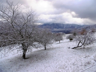 SAINT-NICOLAS-DE-MACHERIN - MOULINS DE CROSSEY-isere