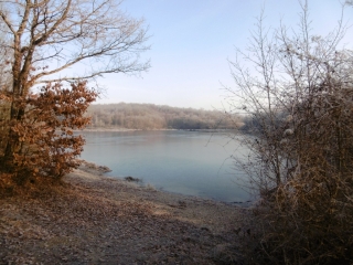 SAINT-ONDRAS - ETANG DU VIVIER-isere