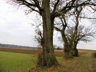 MEYRIEU-LES-ETANGS - CIRCUIT DU BRULET-isere