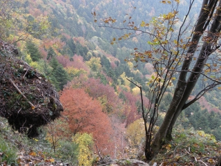 PAS DE L EYRARD ET SA CASCADE-isere