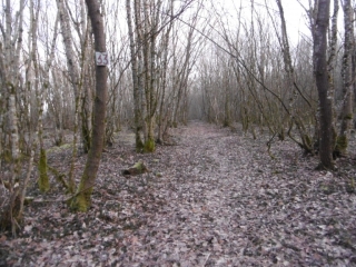 ARANDON - ETANGS DE MEPIEU  FROMENTAUX ET LA SERRE -isere