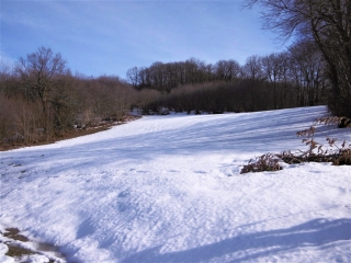 CHABONS - LES HAUTS DE CHABONS-isere