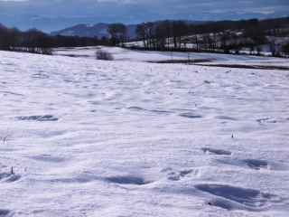 CHABONS - LES HAUTS DE CHABONS-isere