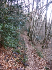 PRESSINS - LA CORBIERE-isere