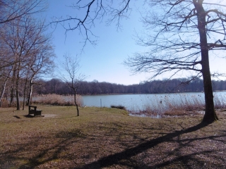 SAINT-SIMEON-DE-BRESSIEUX - ENTRE ETANGS ET FORET-isere