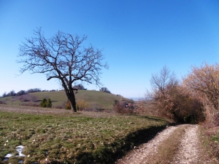 SAINT-SIMEON-DE-BRESSIEUX - ENTRE ETANGS ET FORET-isere