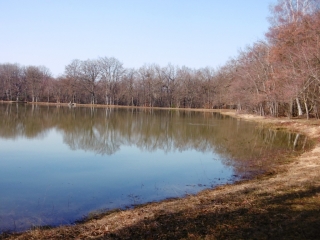 FARAMANS - ENTRE BOIS ET ETANGS-isere