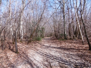 FARAMANS - ENTRE BOIS ET ETANGS-isere