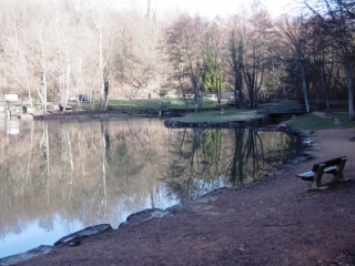 BOURGOIN - ETANG DE LA ROSIERE PAR LE BOIS DE LA CASSE-isere