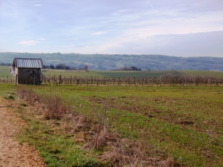 BOURGOIN - ETANG DE LA ROSIERE PAR LE BOIS DE LA CASSE-isere