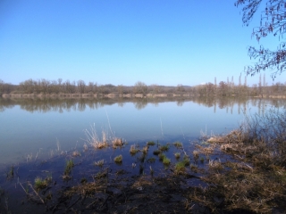 ARANDON - BOIS DU MONT - 4 ETANGS-isere