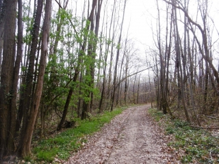 CHATTE - SENTIER AUTOUR DE CHATTE-isere