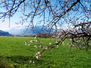 LA BATIE DIVISIN - MONT BAVONNE ET ROND-isere
