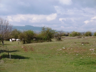 ARANDON - GRAND TOUR PAR MONTCHARDIN - PASSINS-isere