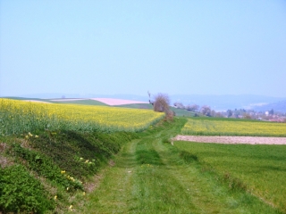 MONTCARRA - BOUCLE SUR LE PLATEAU DE VIGNIEU -isere