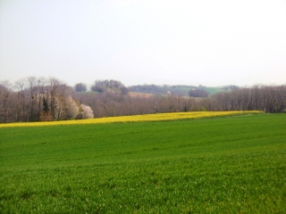 MONTCARRA - BOUCLE SUR LE PLATEAU DE VIGNIEU -isere