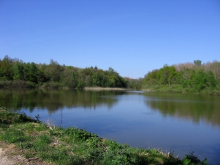 CHATONNAY - AU COEUR DES ETANGS-isere