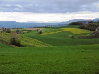 MONTREVEL - BOIS LE CHATEAU DESERT-isere