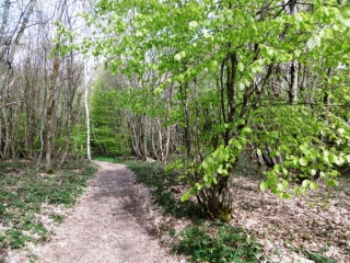 FLACHERE - BOIS LES PASSIERES - LES MANCHES-isere