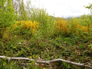 CHAMPIER - BOUCLE AUTOUR DU GRAND BOURBA-isere