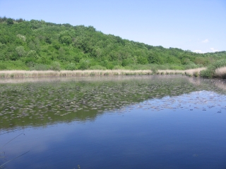 VEYSSILIEU - ETANG DE CHALIGNIEU-isere