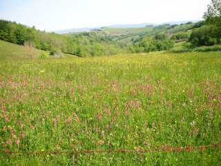 SAINT-MICHEL-DE-SAINT GEOIRS -isere
