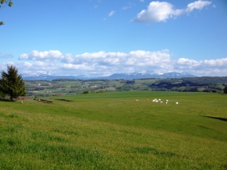CHELIEU - BOIS DE LA SAUVAGERE-isere