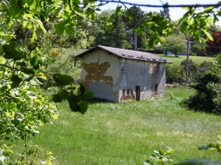 SAINT-SORLIN-DE-VIENNE - FORET DU RIVOLET -isere