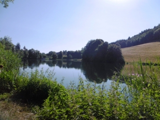 SAINT-SORLIN-DE-VIENNE - BOIS DU REJET - ETANG DES BLACHES-isere
