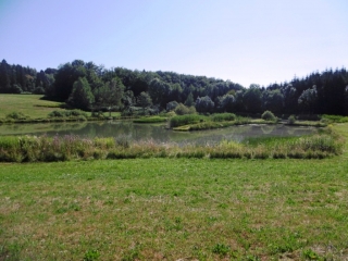 SAINT-SORLIN-DE-VIENNE - BOIS DU REJET - ETANG DES BLACHES-isere
