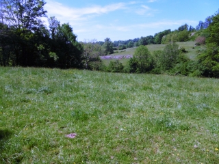 NIVOLAS VERMELLE PAR SUCCIEU-isere