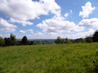 EYZIN-PINET - FORET DES BLACHES PAR LES CRETES-isere