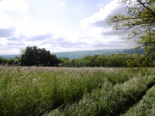 LA TOUR DU PIN - SOURCE MIRACULEUSE ST JEAN BAPTISTE-isere