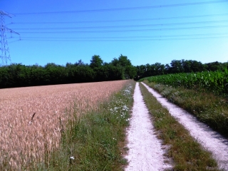 LA TOUR-DU-PIN - LE TOUR DE LA CHAPELLE PAR ST CLAIR DE LA TOUR-isere