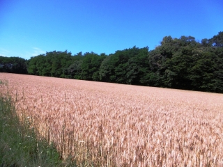 LA TOUR-DU-PIN - LE TOUR DE LA CHAPELLE PAR ST CLAIR DE LA TOUR-isere