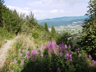 VILLARD-DE-LANS - PLATEAU DE CORNAFION - COL  DE L ARC-isere