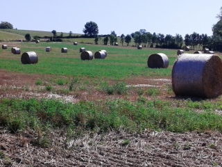 CHARANTONNAY - BOIS DUFOUR ET LOUVAT-isere