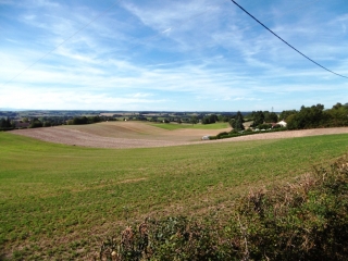 SAINT-AGNIN-SUR-BION - BOIS DE LARY-isere