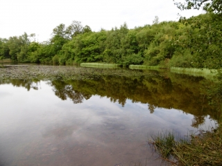 EYDOCHE - ETANG DE BEROUDIERE-isere