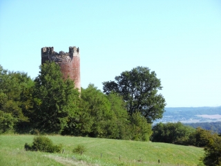 EYZIN-PINET - FORET DES BLACHES-isere