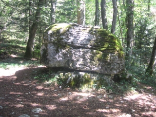 MIRIBEL-LES-ECHELLES - FORET DE MIRIBEL -isere