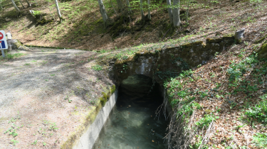 SOUS LA PERDRIX-isere