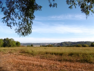 SEPTEME - BOIS DE LA BECASSIERE-isere