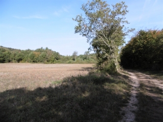 COURTENAY - ETANG DE LEMPS-isere